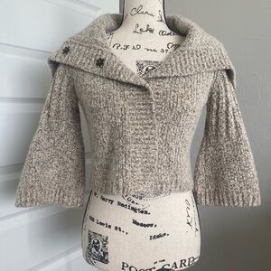 Victor Alfaro Metallic Wool Cropped Sweater